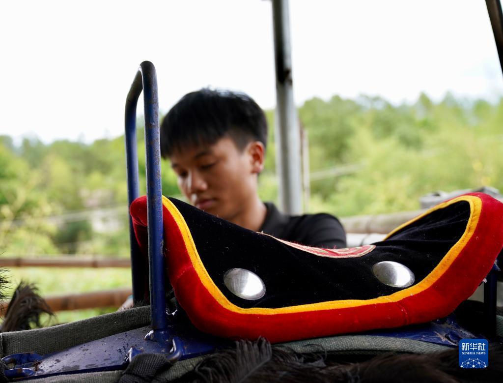 羽林娱乐